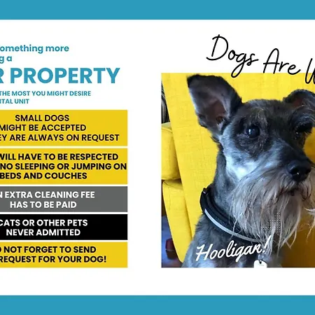 Petrella's Point With Ac