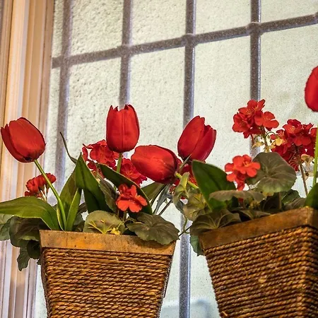 아파트 Petrella's Point With Ac