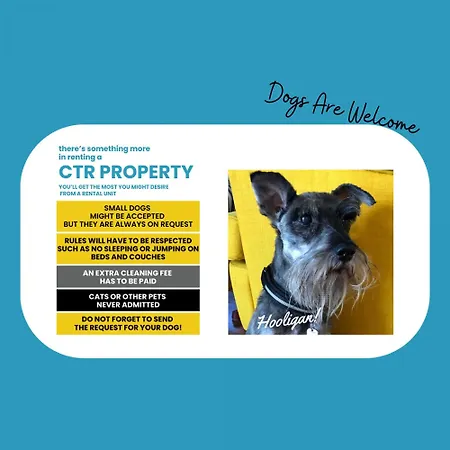 Διαμέρισμα Petrella's Point With Ac Βερνάτσα