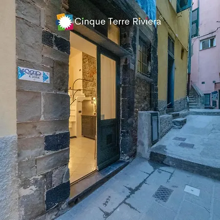Daire Petrella's Point With Ac *