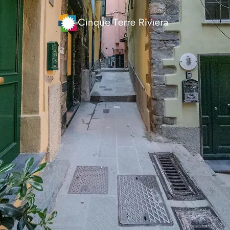 Daire Petrella's Point With Ac Vernazza