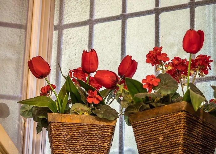 Apartament Petrella's Point With Ac