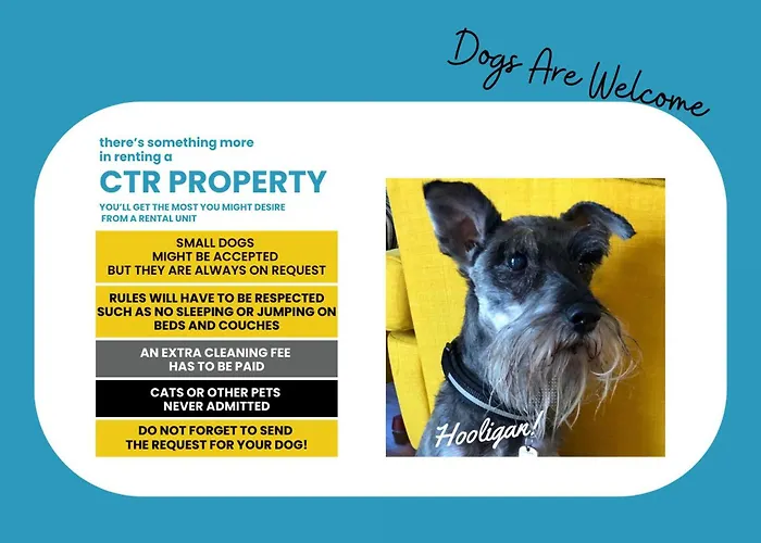 Lejlighed Petrella's Point With Ac Vernazza